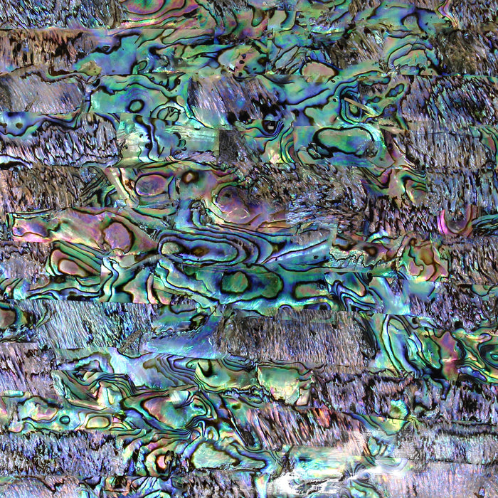 Natural, Opal Abalone Shell Veneer