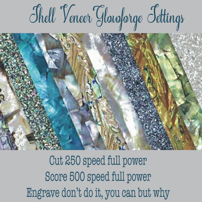 Don’t Be Afraid to Use Shell Veneer!