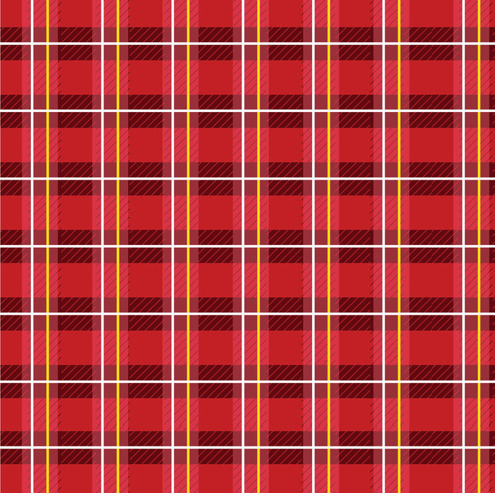 045/ Red and Gold Plaid COLORboard