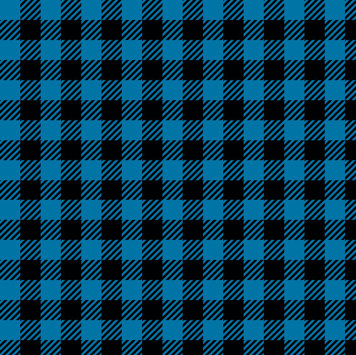 050/ Black and Blue Buffalo Plaid COLORboard