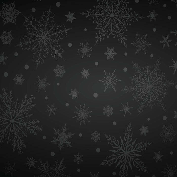 076/ Elegant Snowflakes Black COLORboard