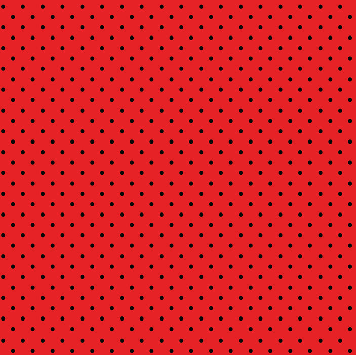 124/ LadyBug Spots COLORboard