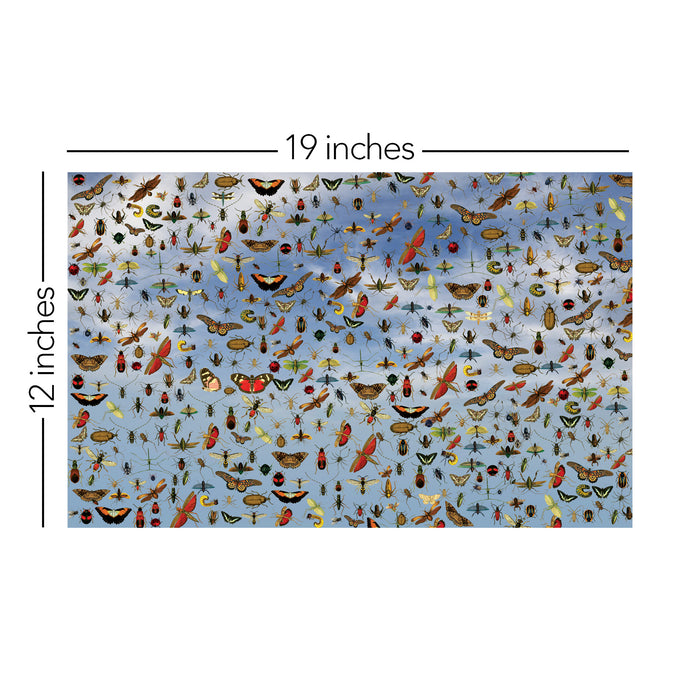191/ Eye Spy COLORboard