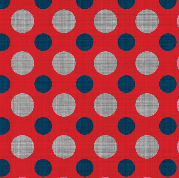 206/ Dad's Polka Dot Flannel COLORboard