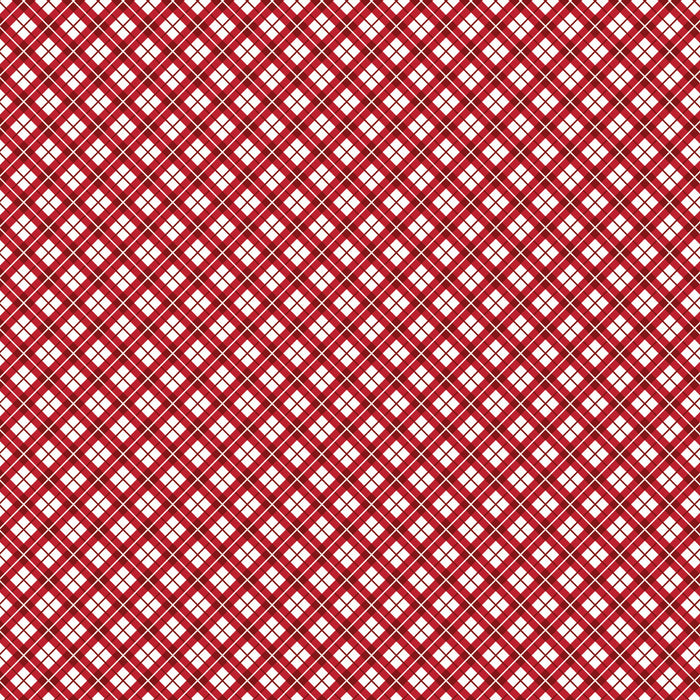 256/ Holiday Checkered Plaid COLORboard