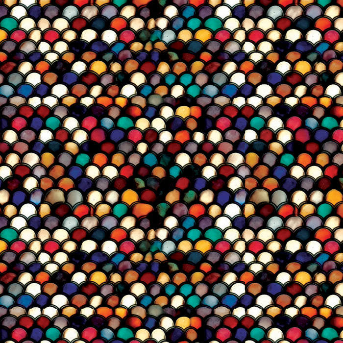 288/ Rainbow Scales COLORboard