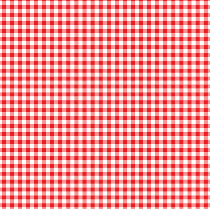 296/ Picnic Table Red Plaid COLORboard