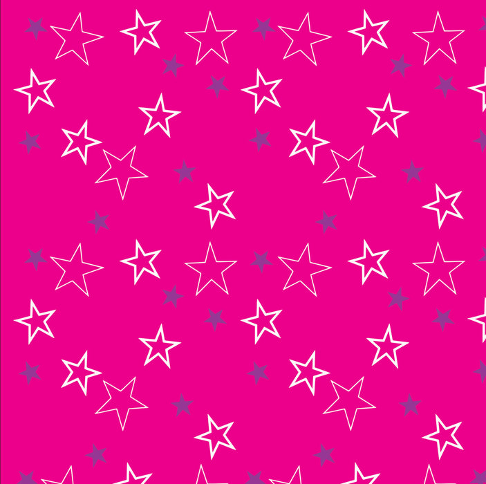 317/ Iconic Hot Pink Stars Smaller COLORboard