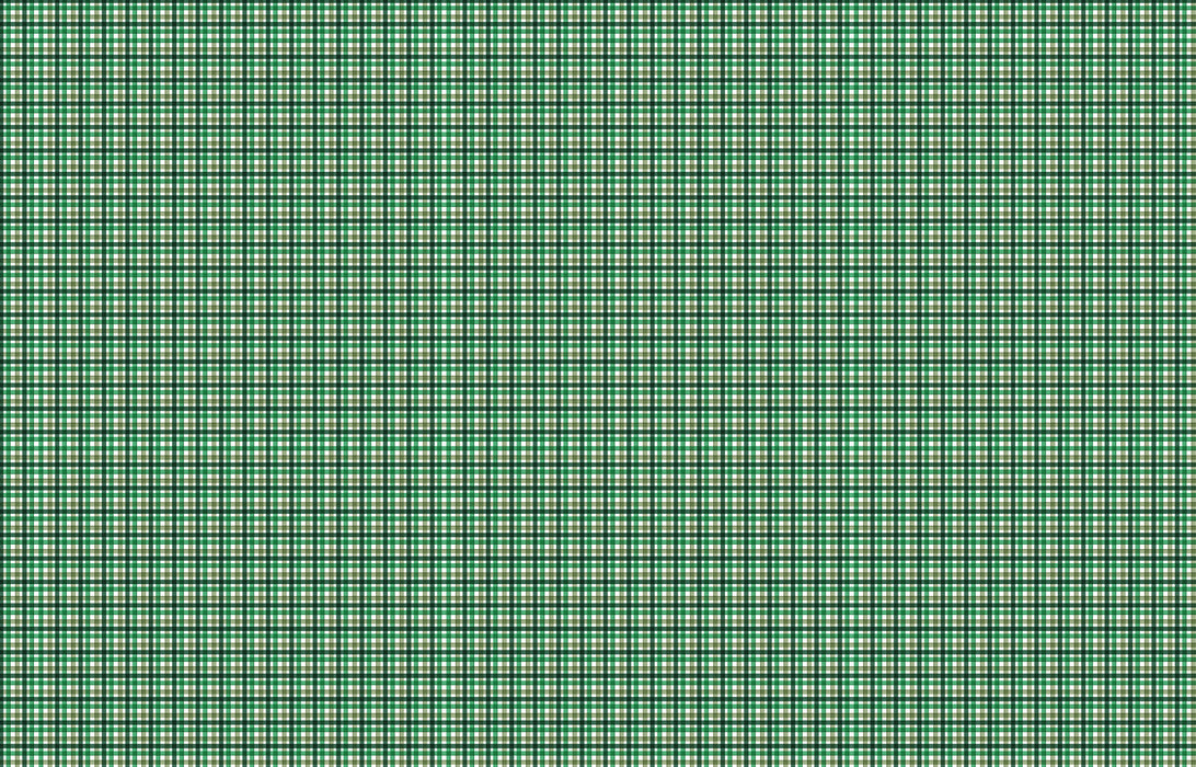 406 St Patty's Plaid COLORboard