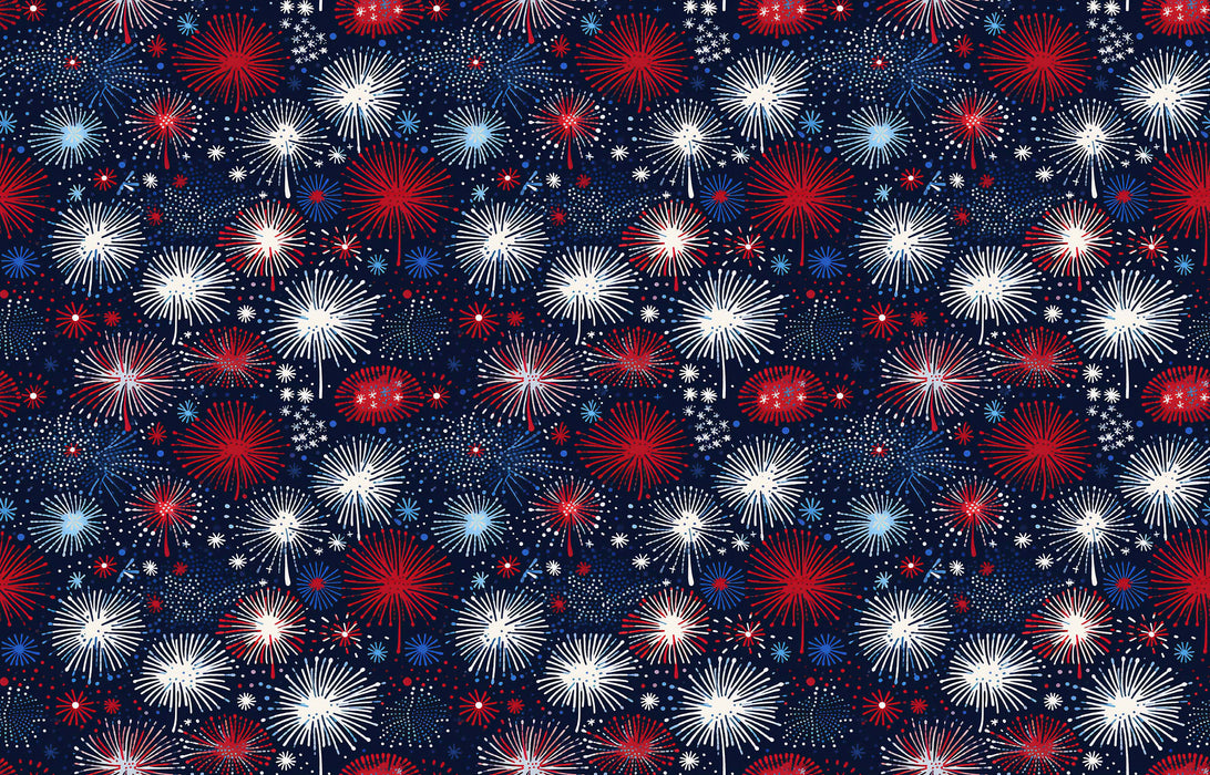 502/ 4th of July Night Sky COLORboard
