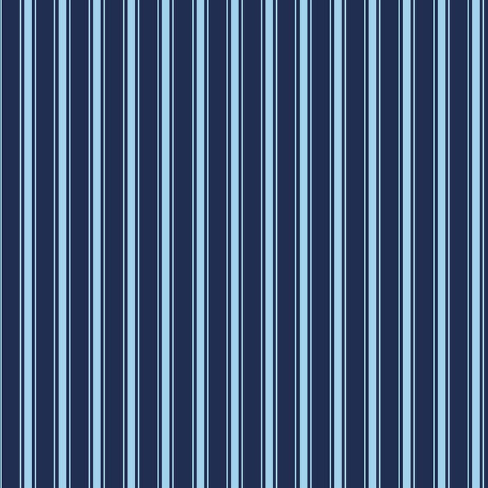 501/ Dad's Blue Stripes COLORboard