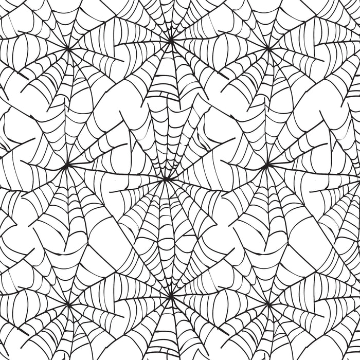559/ Spider Web COLORboard