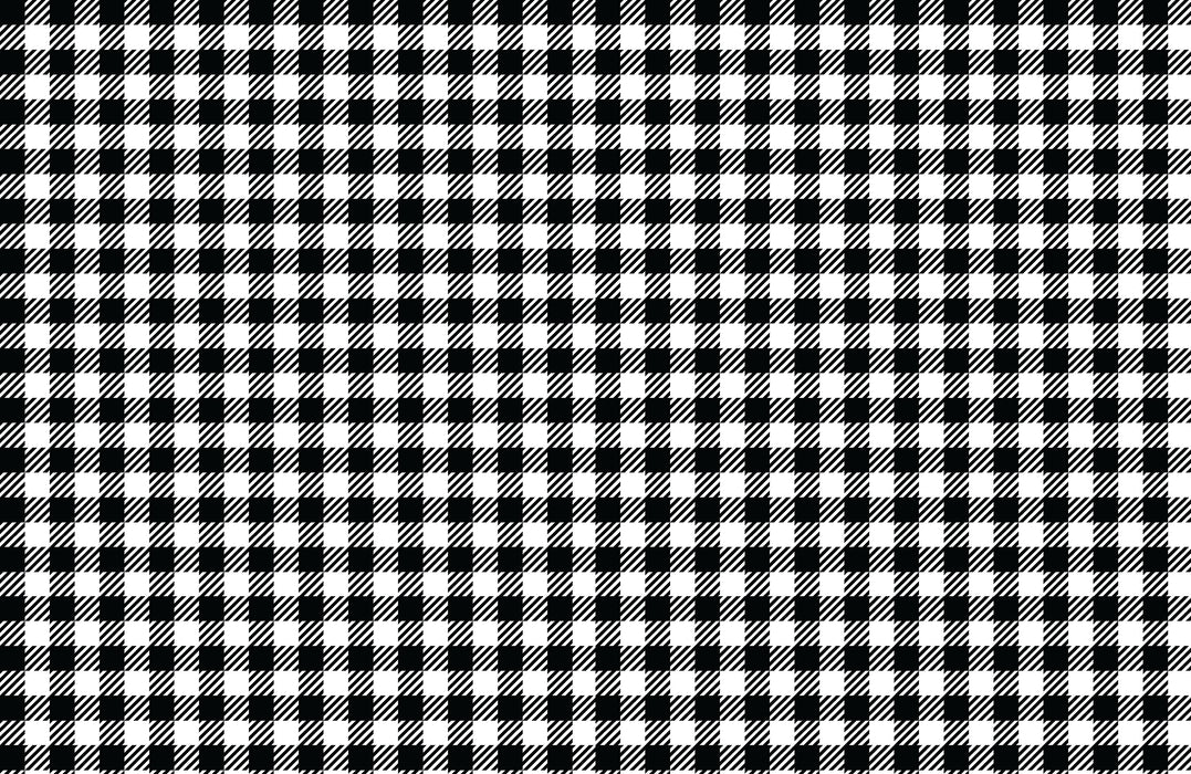 051/ Black and White Buffalo Plaid COLORboard