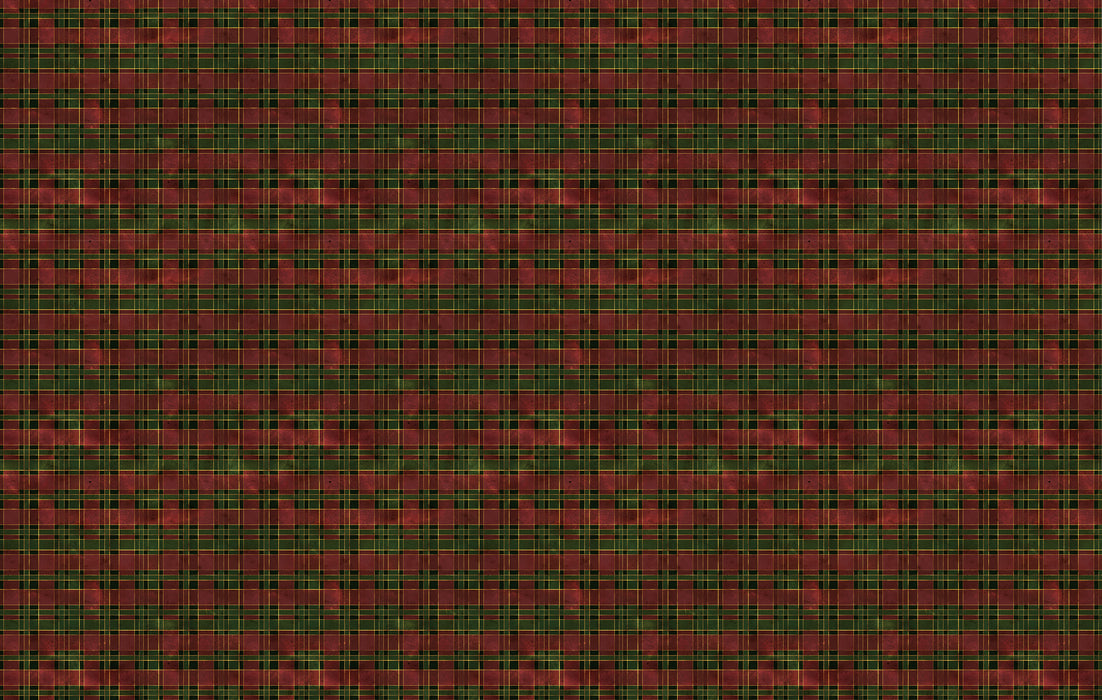 255/ Distressed Holiday Plaid COLORboard
