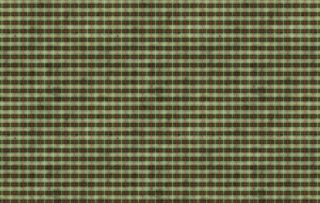254/ Distressed EverGreen Plaid COLORboard