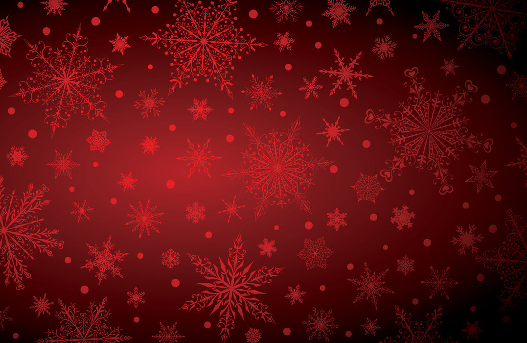 071/ Elegant Snowflakes Red COLORboard