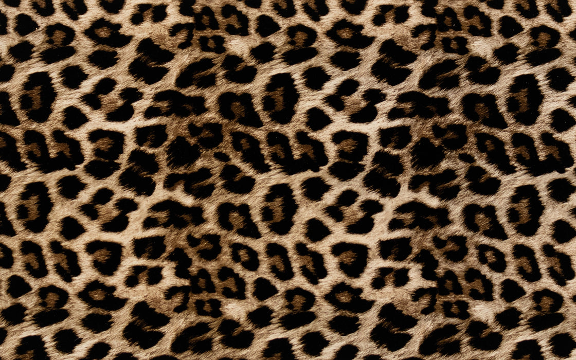 Leopard Color Htv 805/Leopard PATTERN HTV — Craft Closet