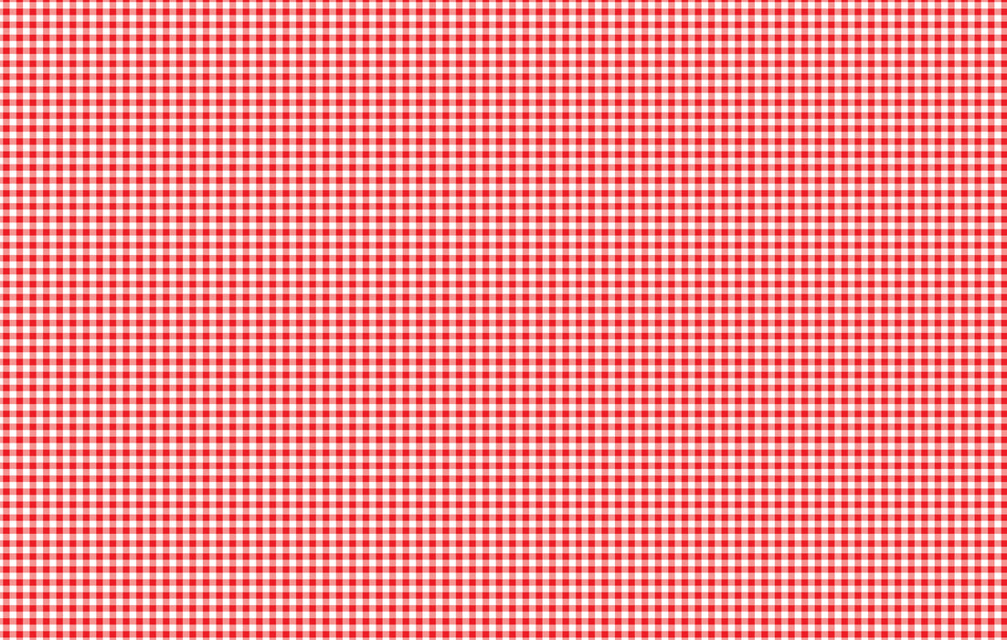 296/ Picnic Table Red Plaid COLORboard
