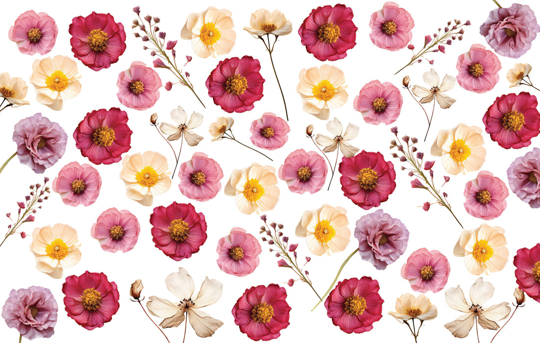 552/ Pressed Flowers Reds COLORboard