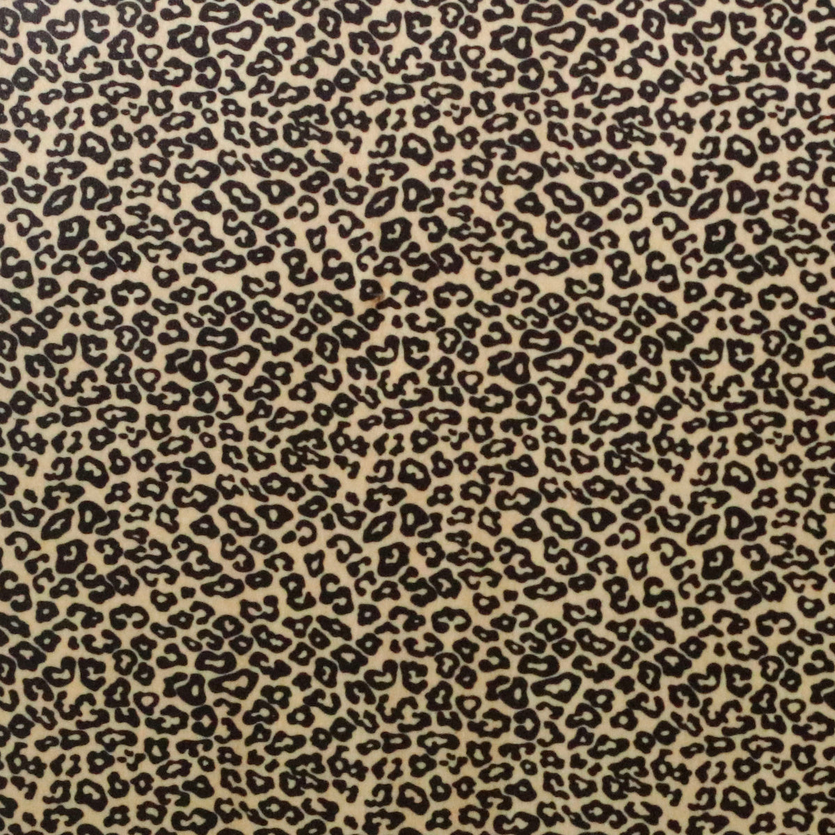 Pressed Patterns-Leopard Print — Craft Closet
