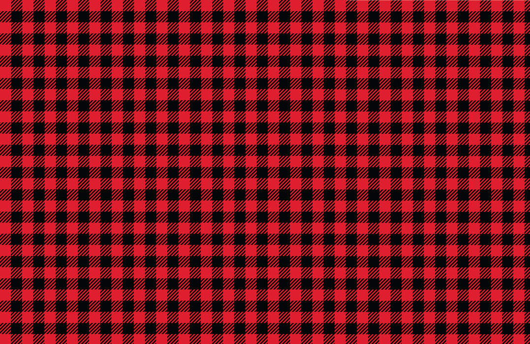 048/ Black and Red Buffalo Plaid COLORboard
