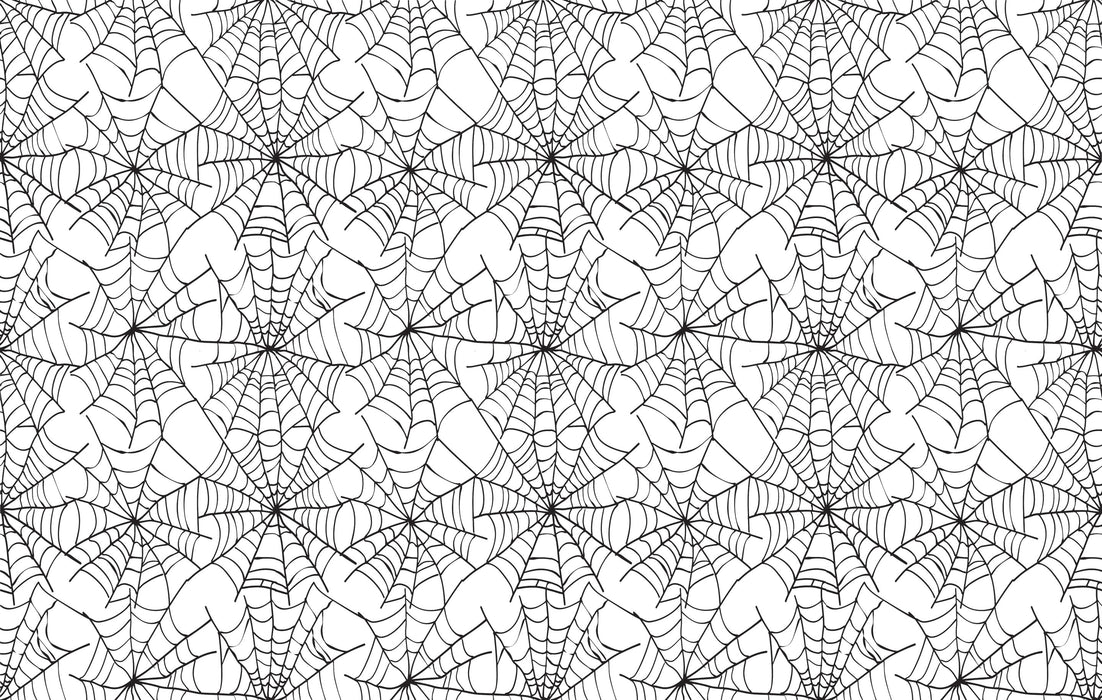 559/ Spider Web COLORboard