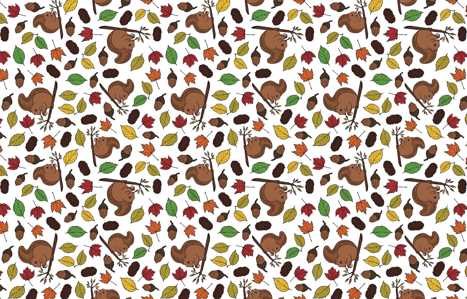 091/ Samantha's Doodles Squirrels COLORboard