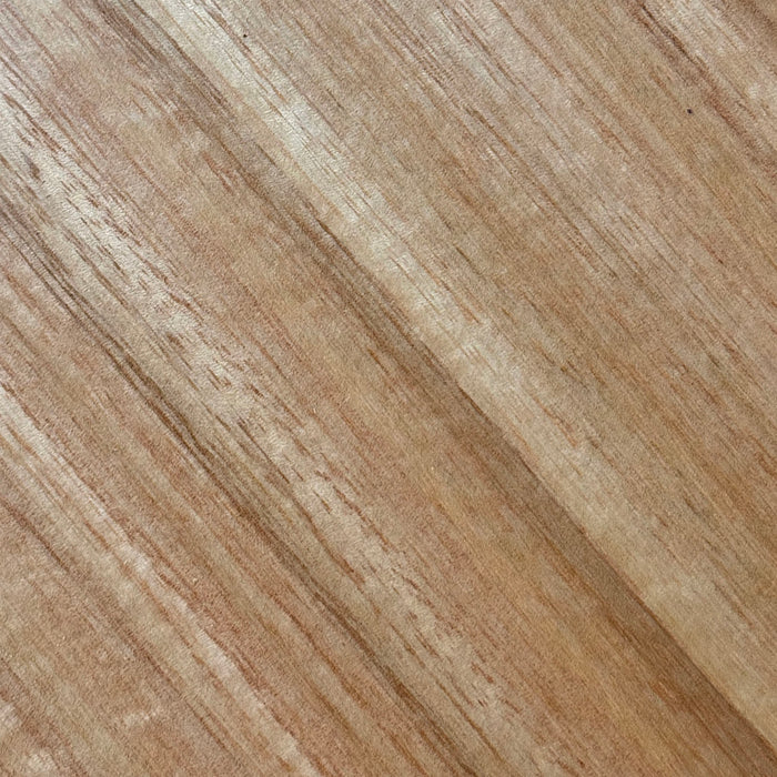 Elm, Gray, Plain Slice, Wood Veneer, 12x19 inches, Finished