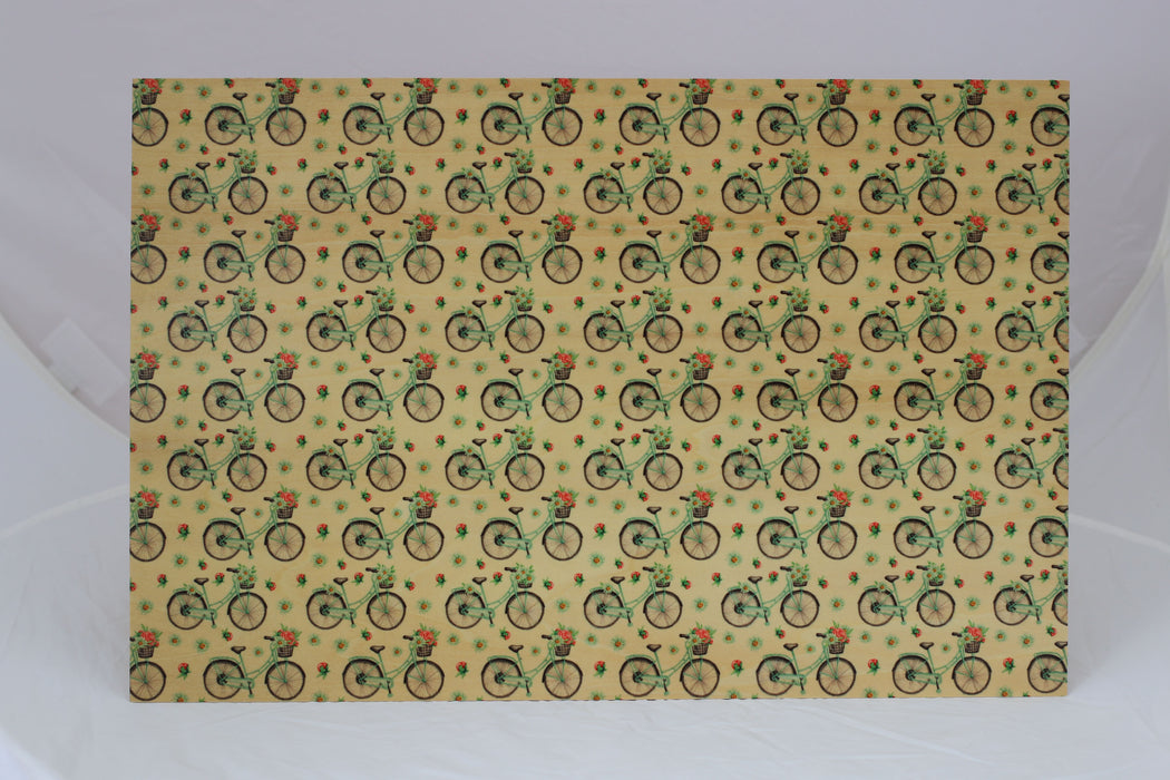 Floral Bicycles COLORlite Patterns Double Sided