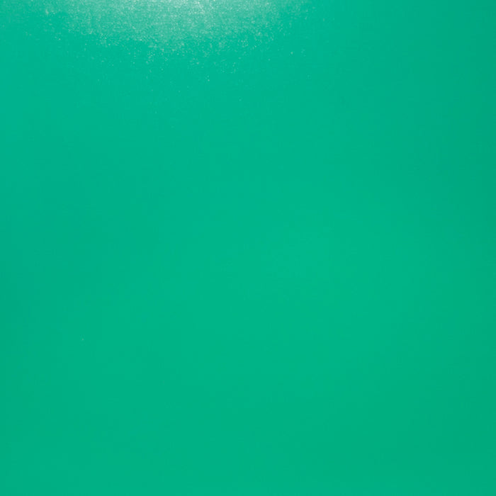 COLORboard Solids - Light Green