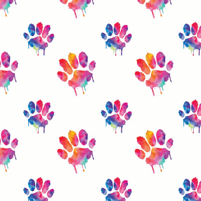 537/ Painted Paw Prints COLORboard