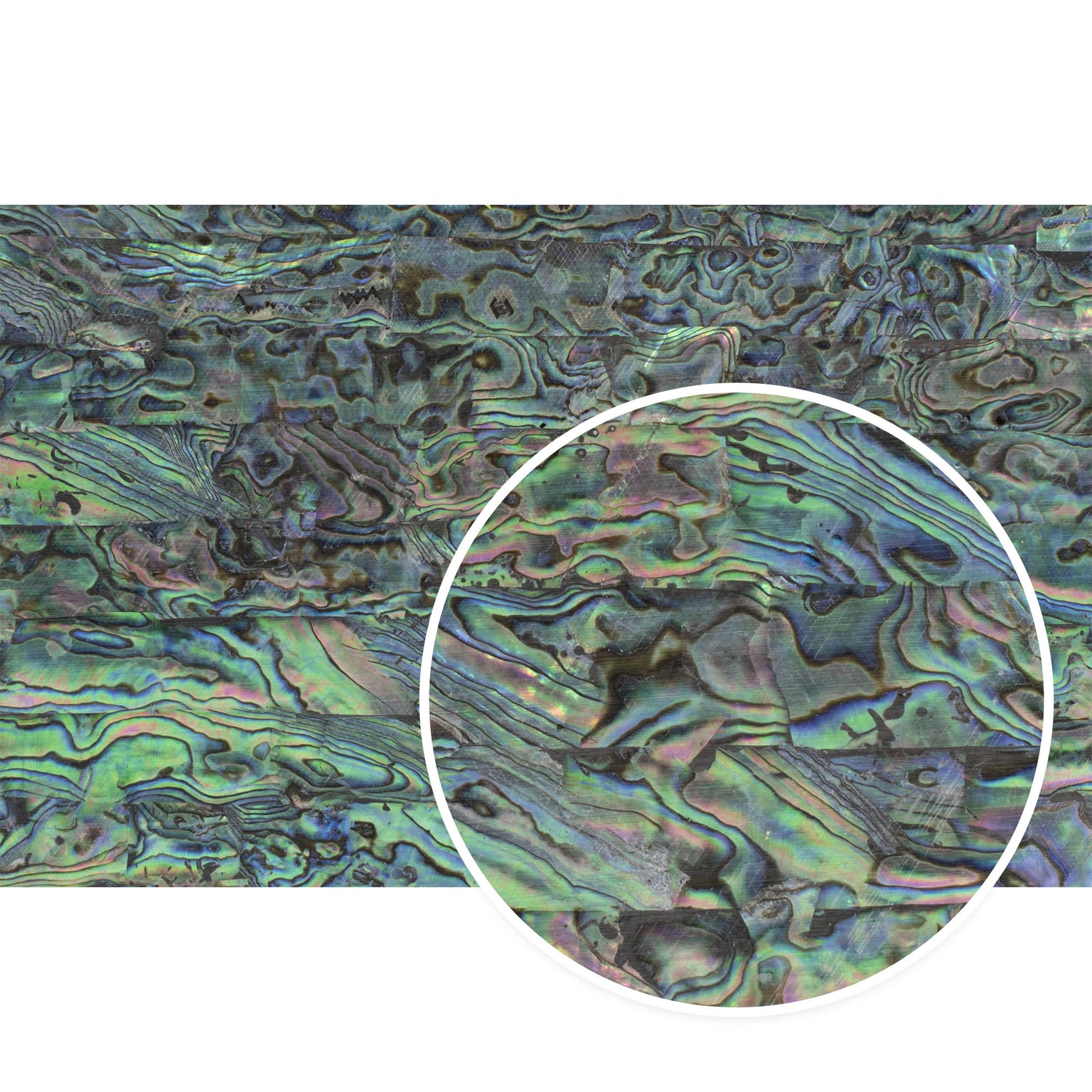 Red Abalone Shell Pattern Abalone Shell Veneer — Craft Closet