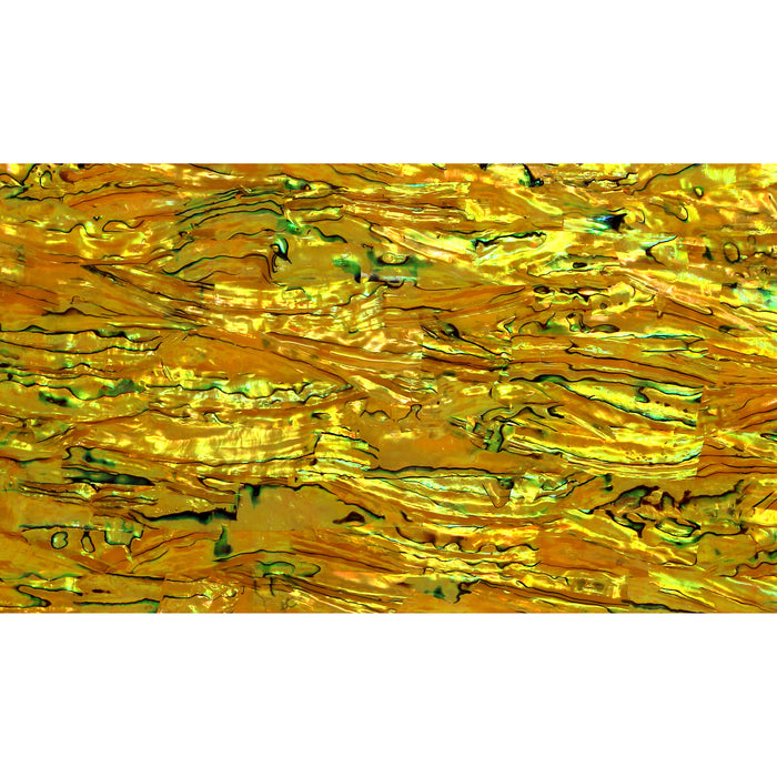 Imperial Yellow Abalone Shell Veneer