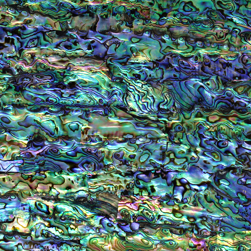 abalone shell texture