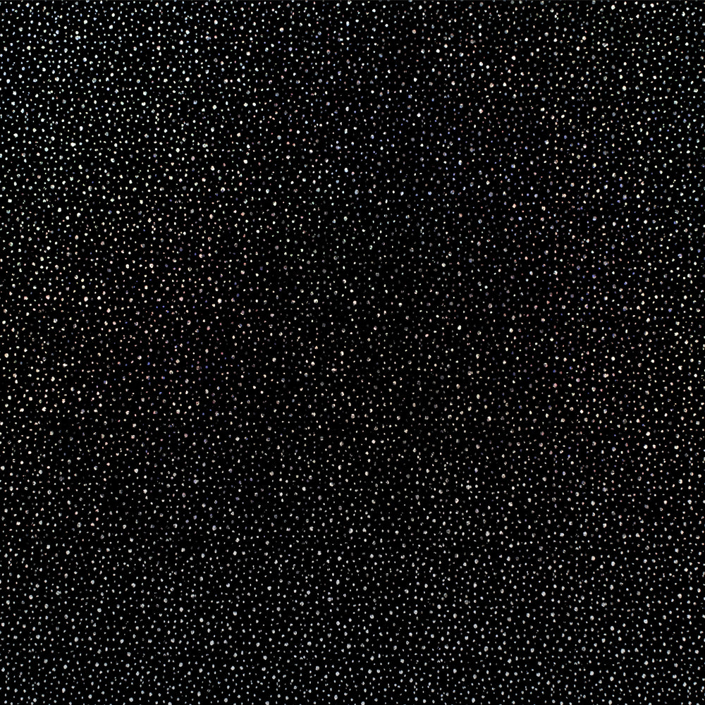 301/Black Cosmos HOLOboard