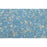 Cerulean Sands Shell