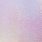 Dragonfly Wings Iridescent Textured