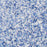 Cornflower Fields Glitz