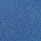 Mazarine Blue Glitter