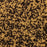 Tortoise Brown Shell