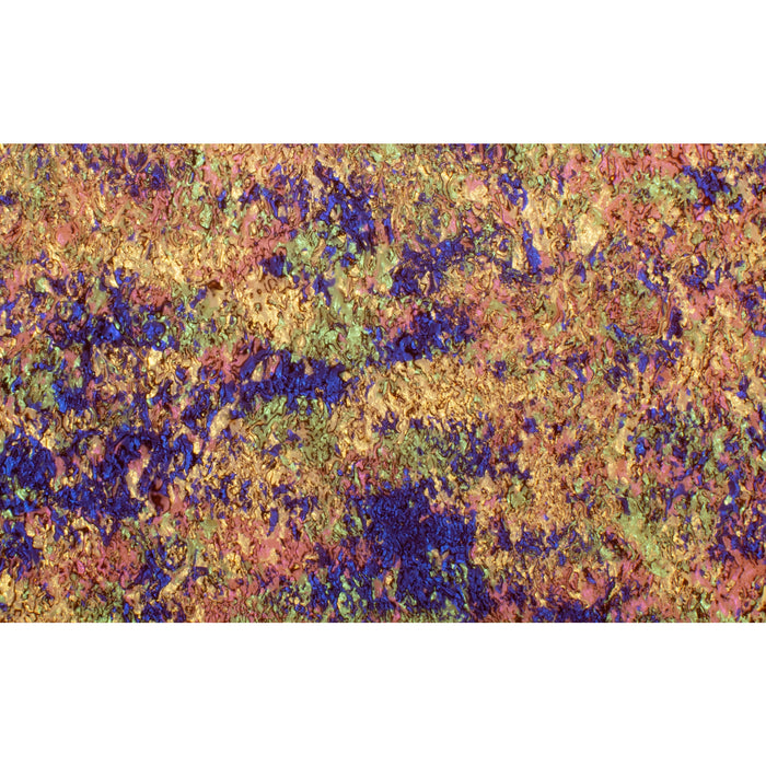 Birgo Shell Virgo Fantasy Shell Cast Acrylic, 12”x19”, laser / Glowforge ready ...