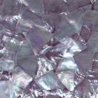 Amethyst Purple White Mother of Pearl Shell Veneer