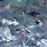 Aquamarine White Mother of Pearl Shell Veneer